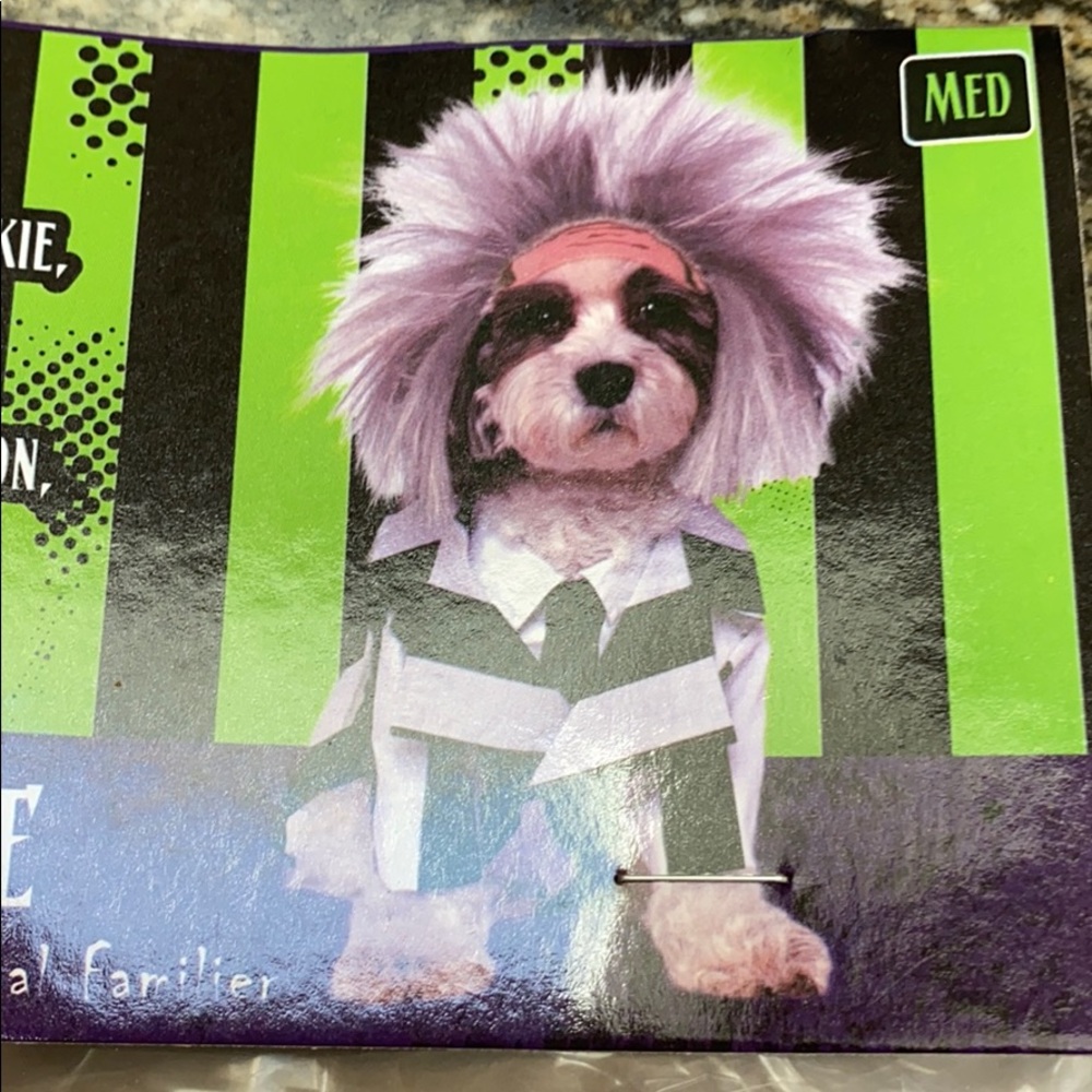Beetlejuice Pet Costume